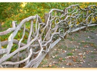 Rustic Fence Ideas to Enhance Your Outdoor Sanctuary